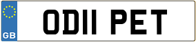 Truck License Plate